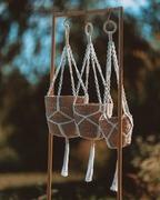 Plant Hanger
