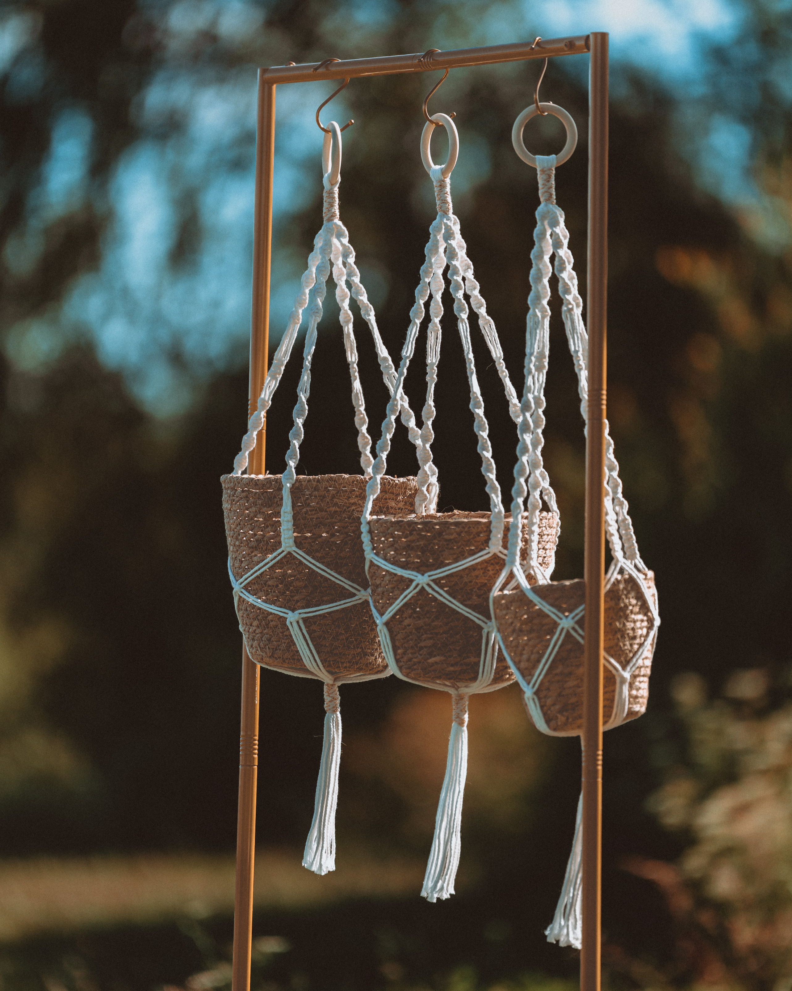Suspension Plante