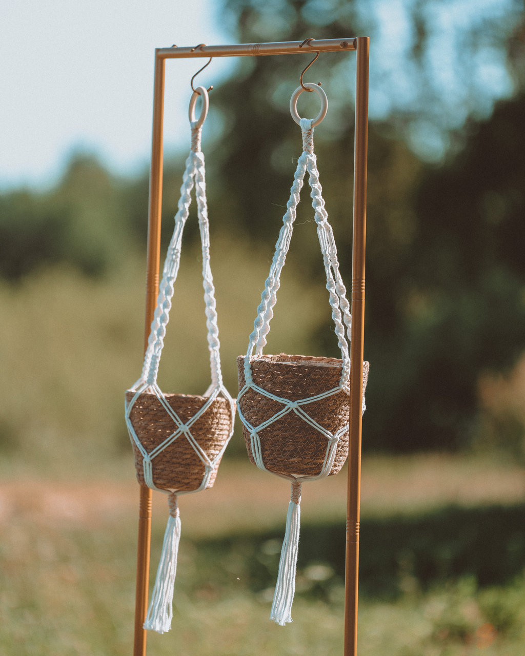 Plant Hanger