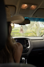 Diffuseur Voiture Western