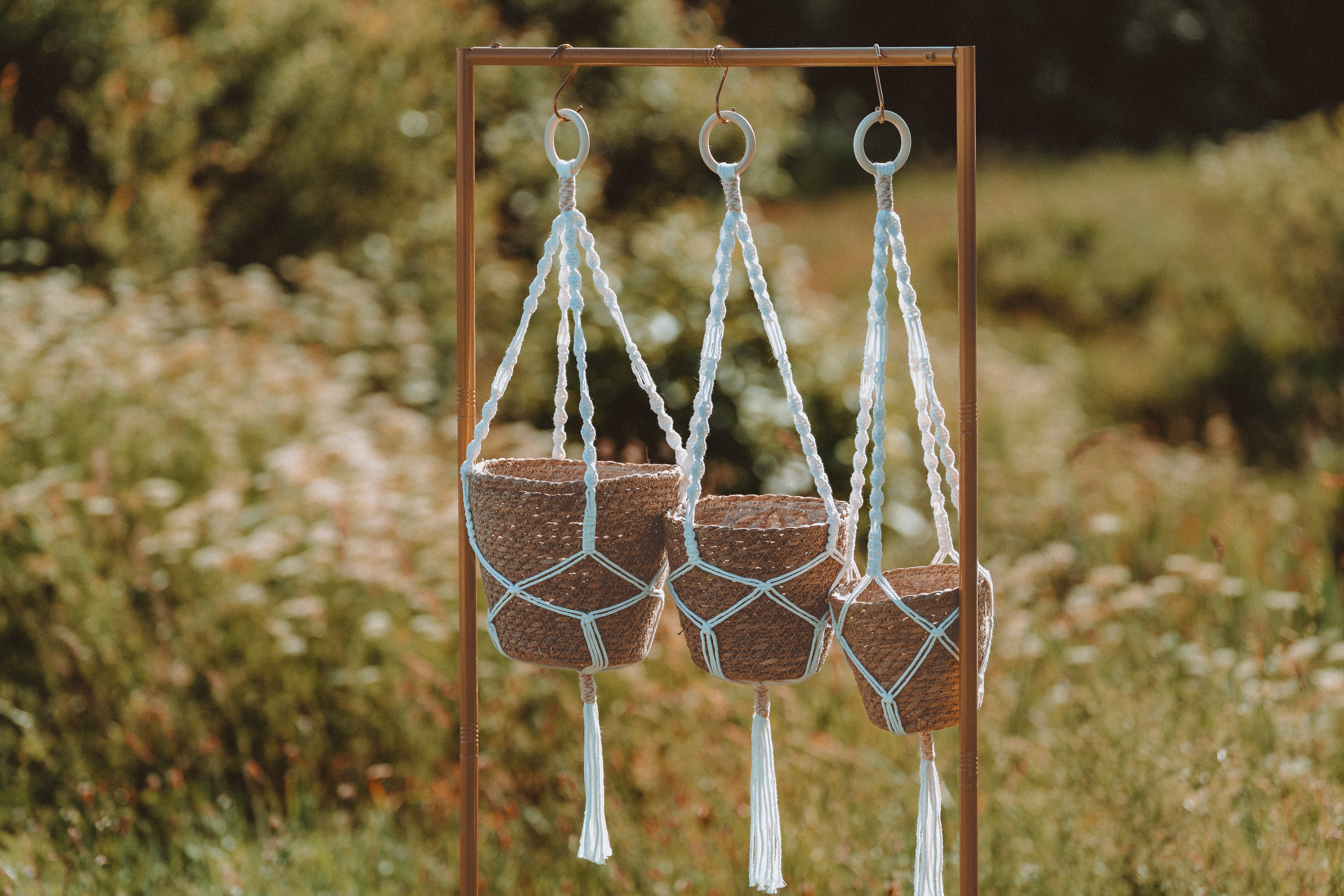 Suspension Plante