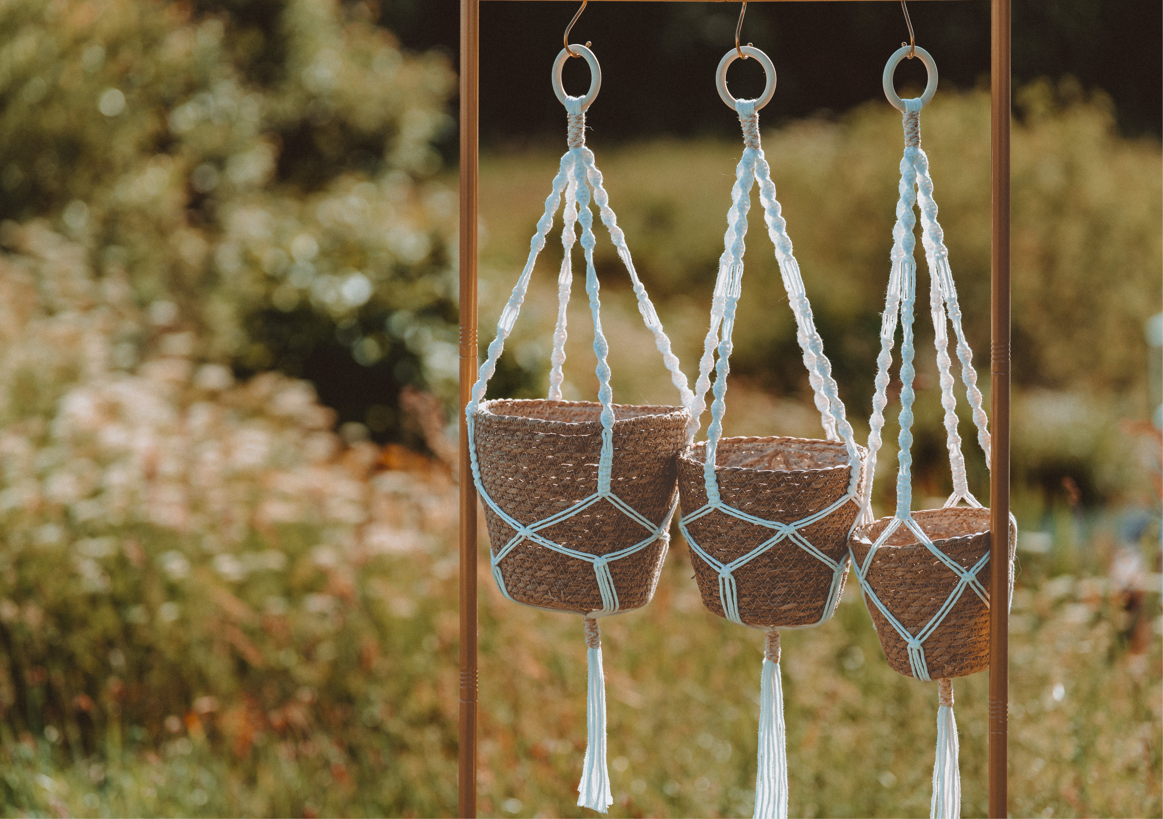 Plant Hanger